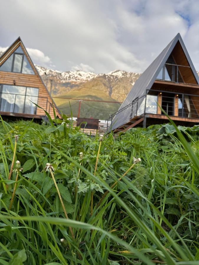 Alagi Cottage Kazbegi Екстер'єр фото